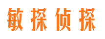 点军市侦探调查公司